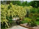 3 Fifteenth Street, Hepburn Springs VIC 3461