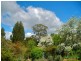 3 Fifteenth Street, Hepburn Springs VIC 3461