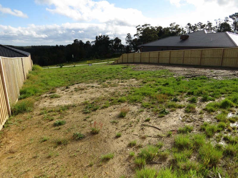 5 Henry Avenue, Mount Clear VIC 3350