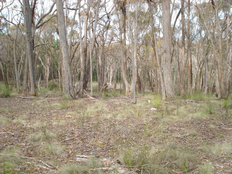 Lot 17 Woodland Drive, Scarsdale VIC 3351