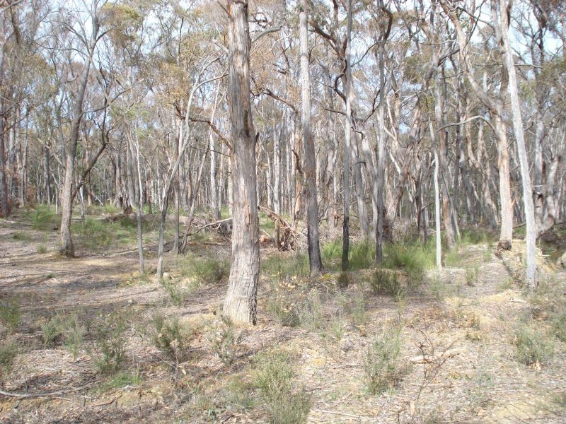 Lot 17 Woodland Drive, Scarsdale VIC 3351