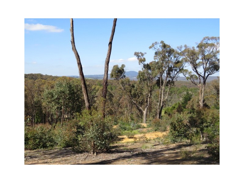 379 Lloyds Lane, Napoleons VIC 3352