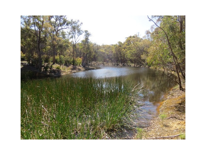 379 Lloyds Lane, Napoleons VIC 3352