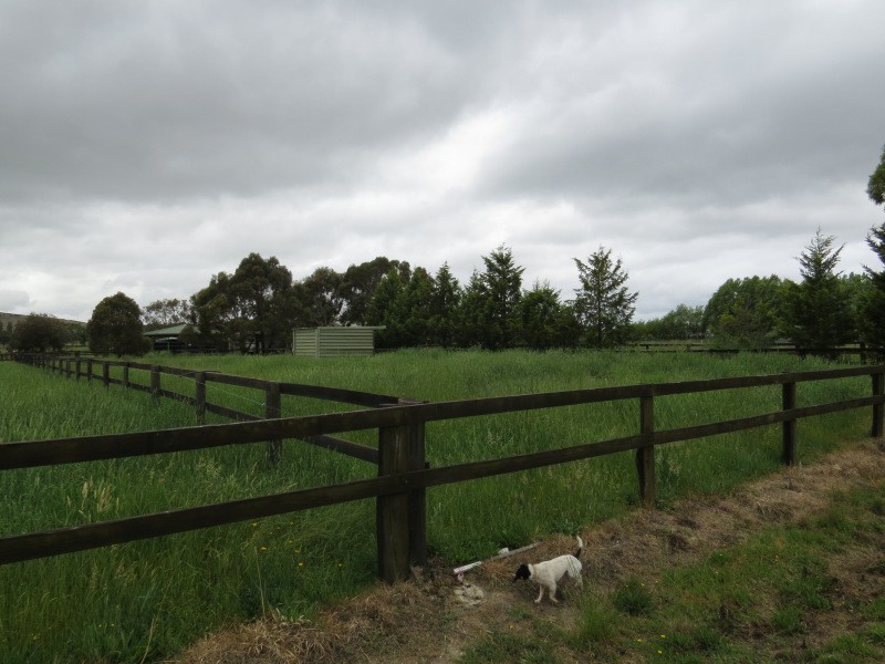 103B Sharpes Road, Miners Rest VIC 3352