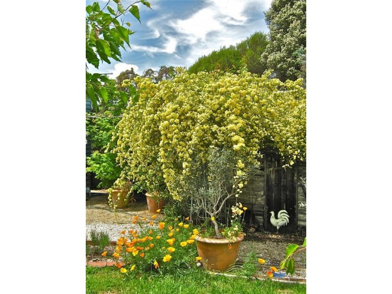 3 Fifteenth Street, Hepburn Springs VIC 3461