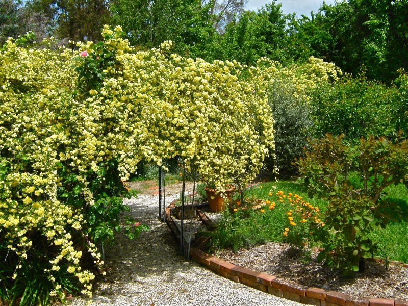 3 Fifteenth Street, Hepburn Springs VIC 3461