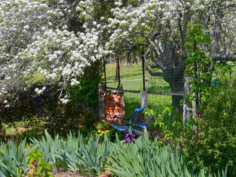 3 Fifteenth Street, Hepburn Springs VIC 3461