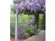 3 Fifteenth Street, Hepburn Springs VIC 3461