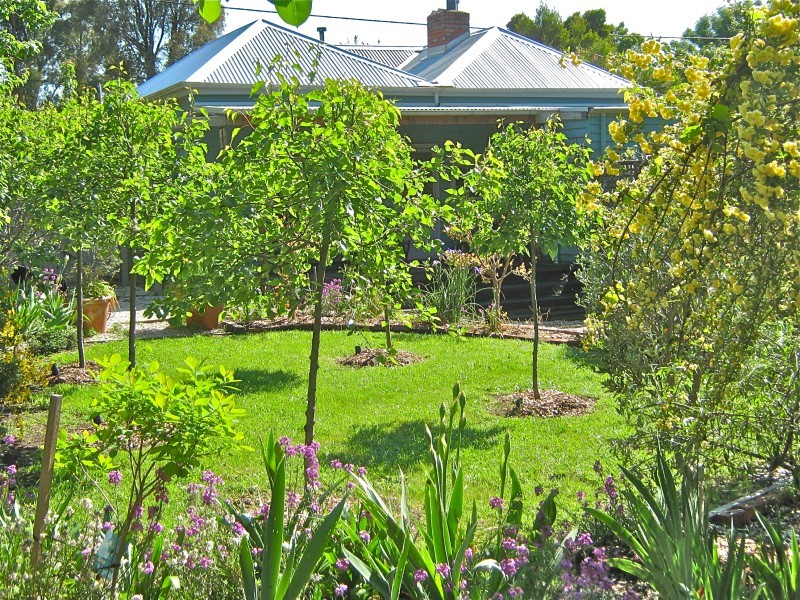 3 Fifteenth Street, Hepburn Springs VIC 3461