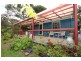 173 Petticoat Road, Cabbage Tree VIC 3364