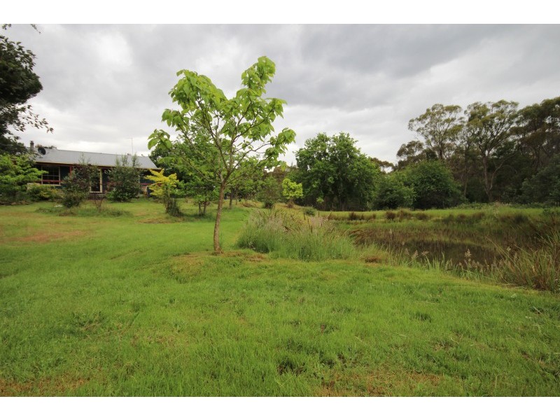 173 Petticoat Road, Cabbage Tree VIC 3364