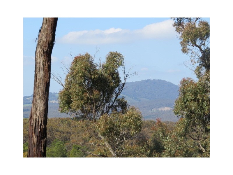 379 Lloyds Lane, Napoleons VIC 3352