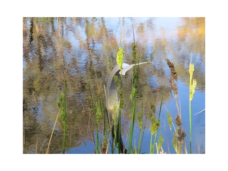 379 Lloyds Lane, Napoleons VIC 3352