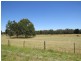 314 State Forest Road, Ross Creek VIC 3351