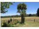 306 State Forest Road, Ross Creek VIC 3351