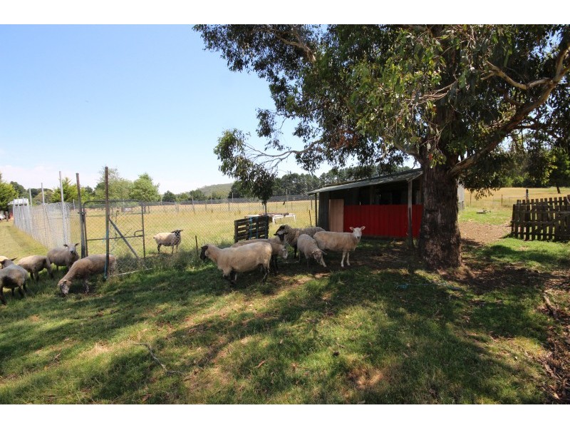 21 Mess Mate Road, Lyonville VIC 3461