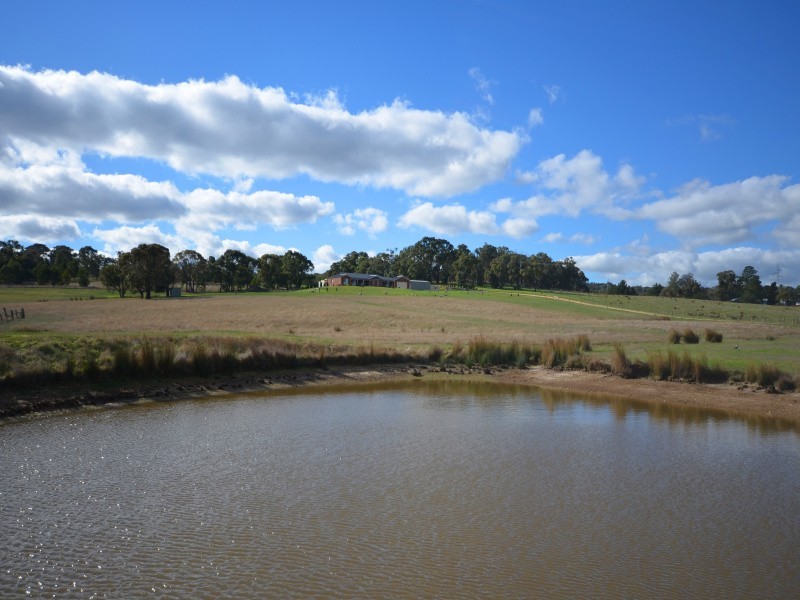 7698 Midland Highway, Magpie VIC 3352