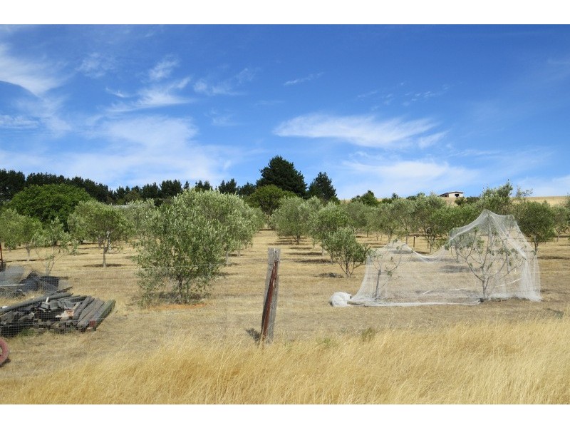 128 Jacks Road, Linton VIC 3360