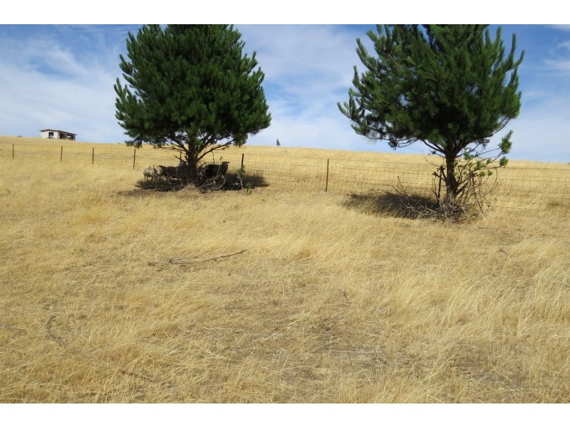 128 Jacks Road, Linton VIC 3360