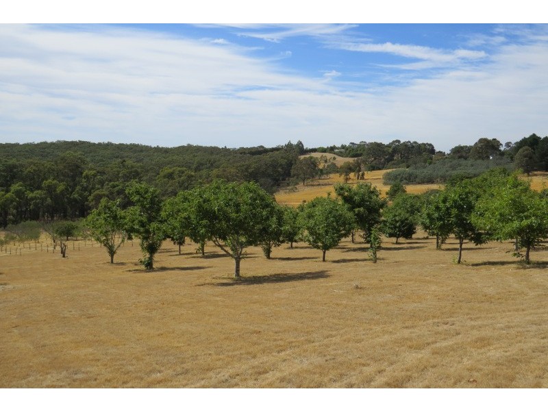 128 Jacks Road, Linton VIC 3360