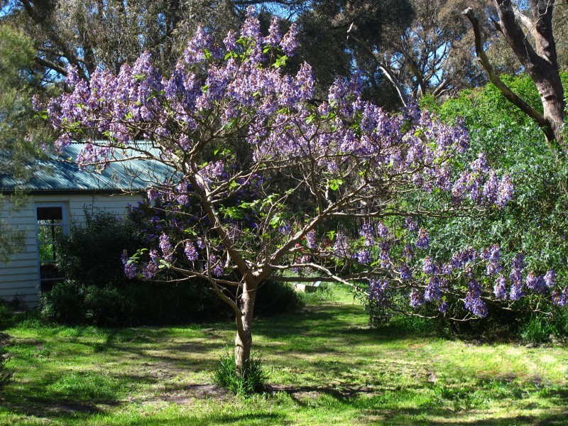 55 Spratlings Road, Ross Creek VIC 3351