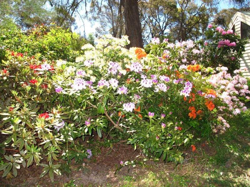 55 Spratlings Road, Ross Creek VIC 3351