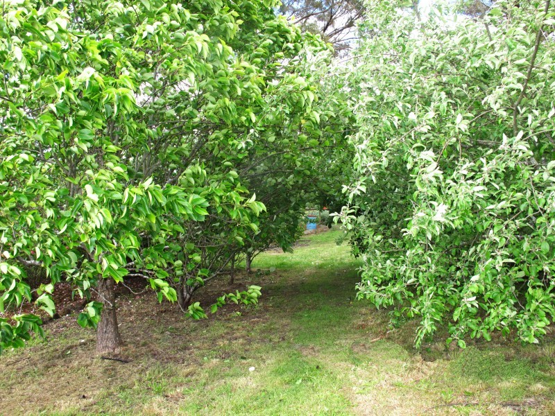 55 Spratlings Road, Ross Creek VIC 3351