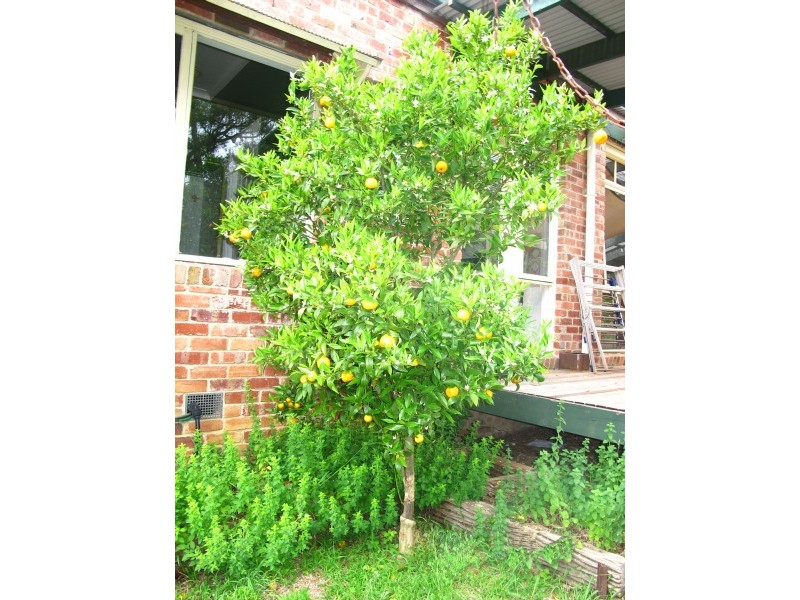 55 Spratlings Road, Ross Creek VIC 3351