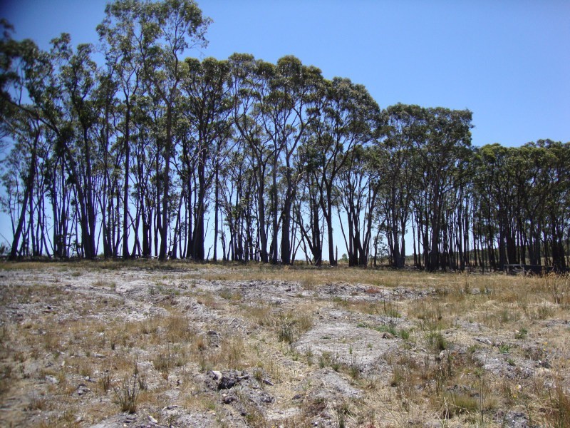 10 Greenhaven Court, Mount Clear VIC 3350