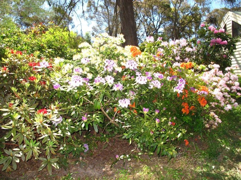 55 Spratlings Road, Ross Creek VIC 3351