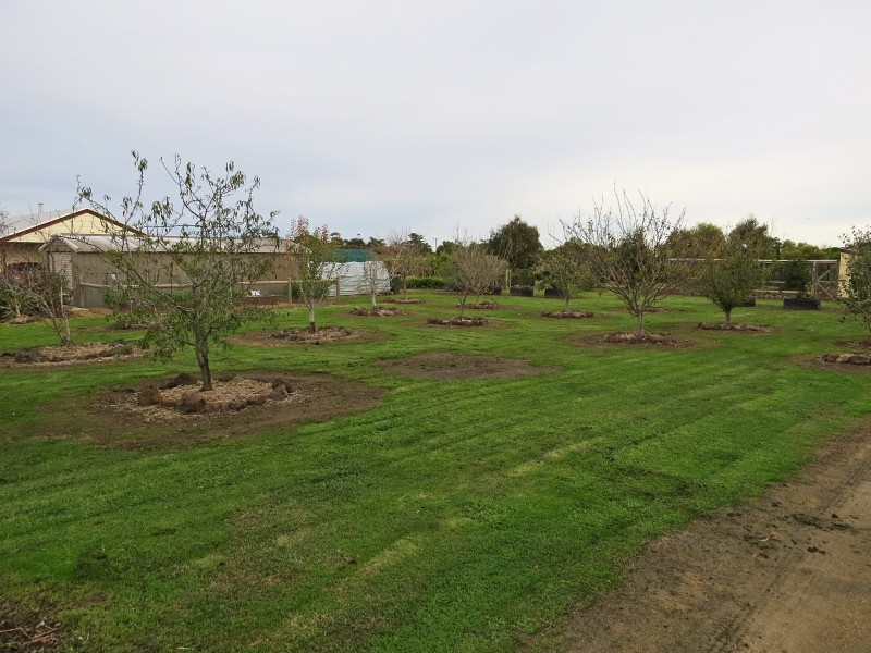 1 Christopher Court, Lismore VIC 3324