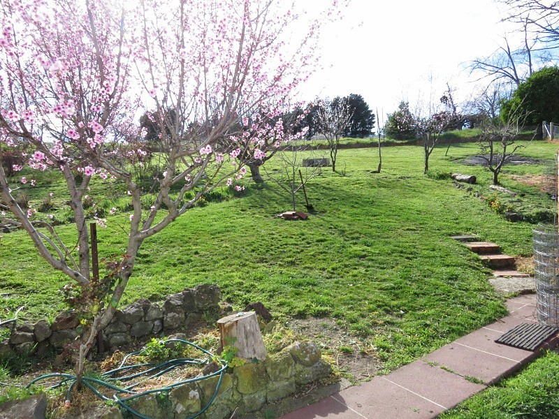 21 Angus Street, Clunes VIC 3370