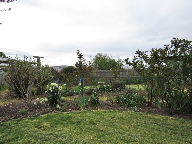 67 Marigold Street, Wendouree VIC 3355