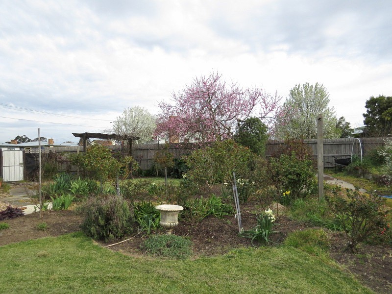 67 Marigold Street, Wendouree VIC 3355