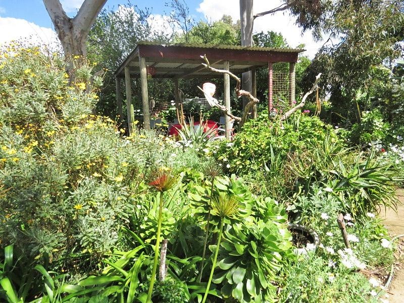 49 Gray Street, Lismore VIC 3324