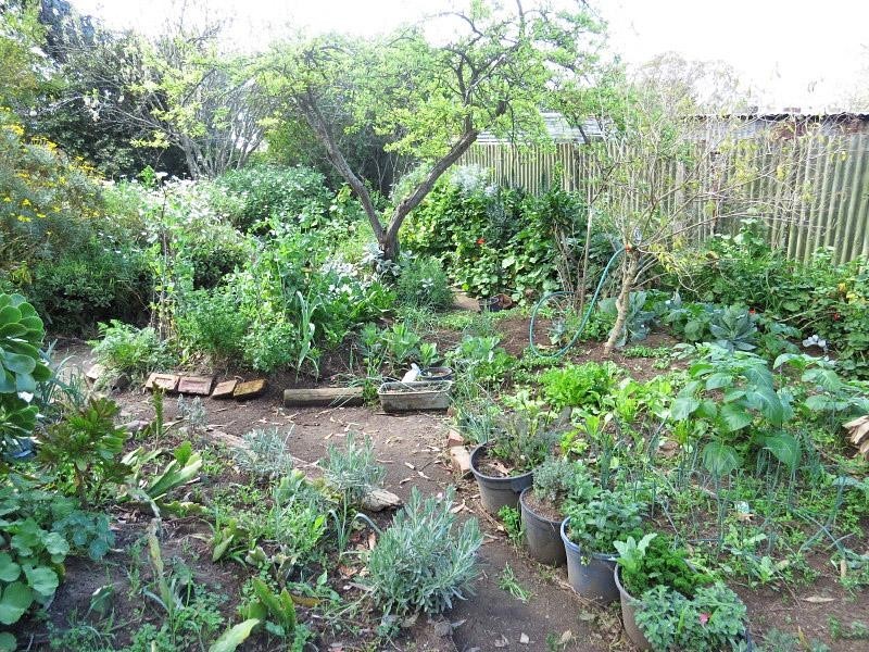 49 Gray Street, Lismore VIC 3324