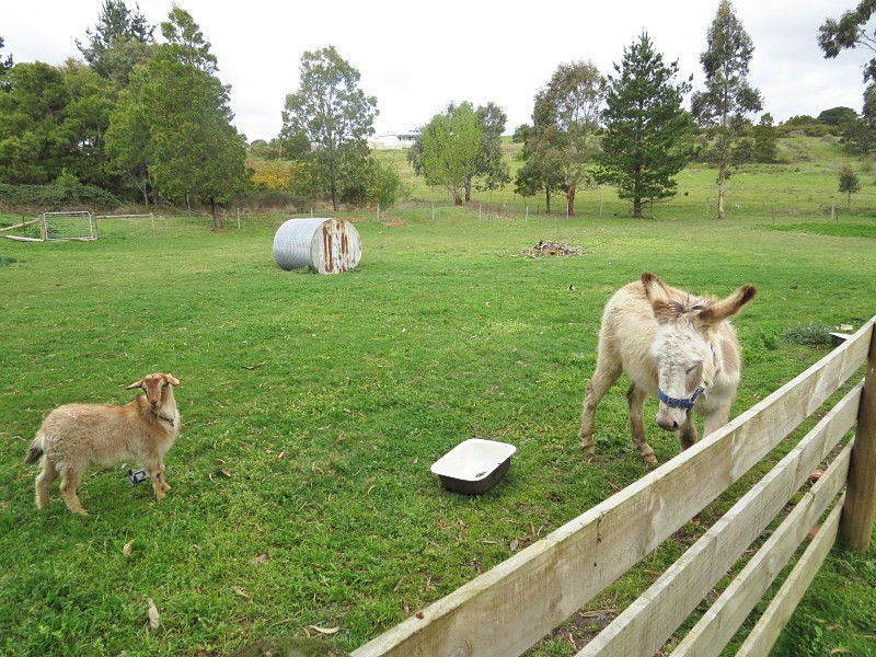 12 Carlyle Street, Scarsdale VIC 3351