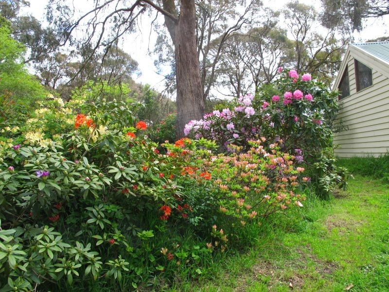 55 Spratlings Road, Ross Creek VIC 3351