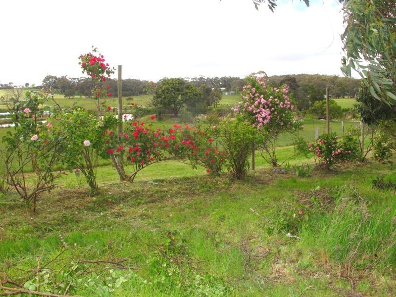 55 Spratlings Road, Ross Creek VIC 3351