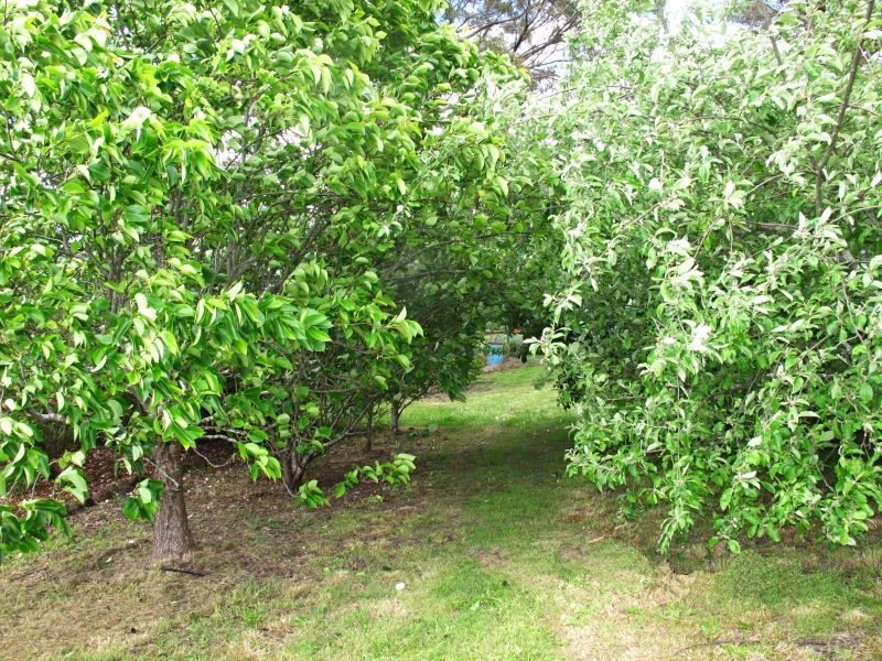 55 Spratlings Road, Ross Creek VIC 3351