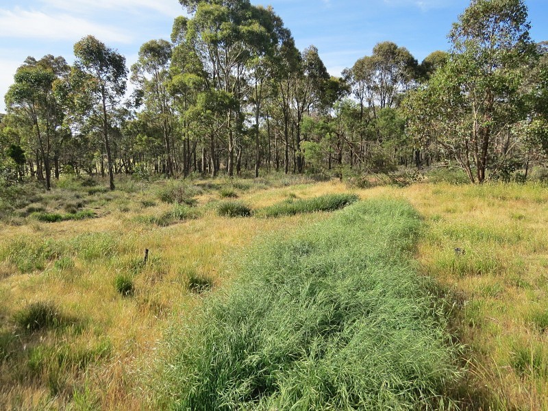 136 Rifle Range Road, Lexton VIC 3352