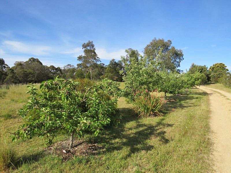 136 Rifle Range Road, Lexton VIC 3352