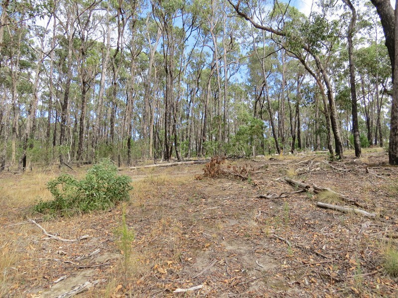 3 Brodie Court, Mount Helen VIC 3350