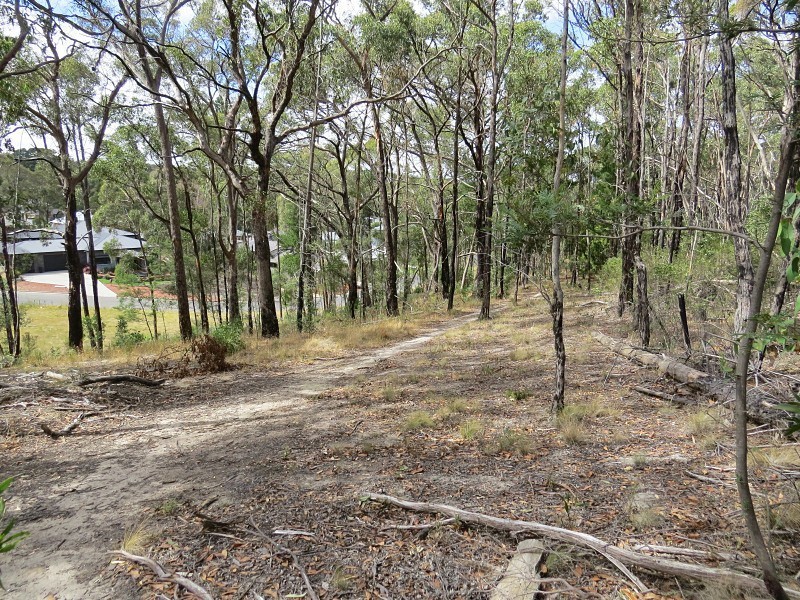 3 Brodie Court, Mount Helen VIC 3350