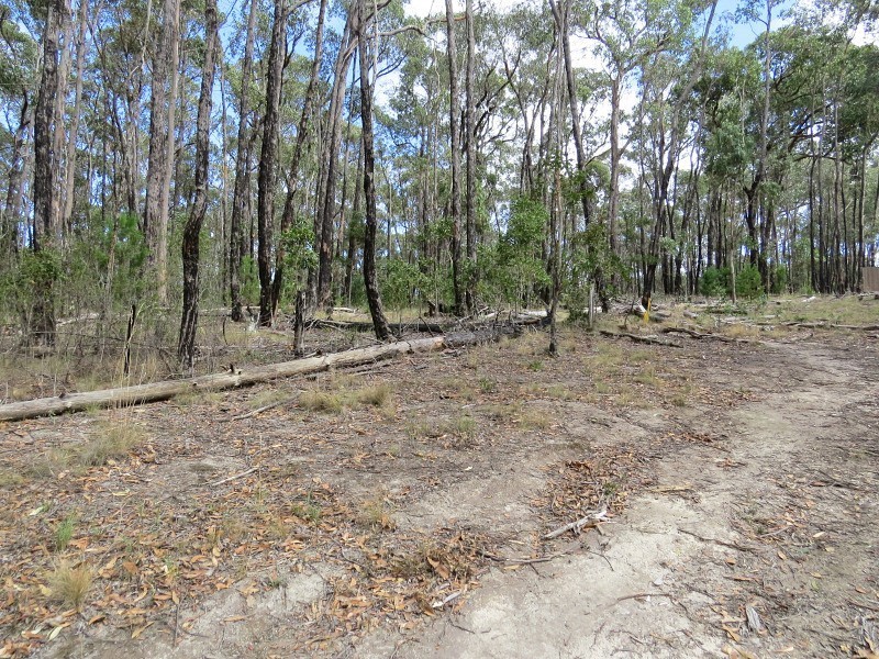 3 Brodie Court, Mount Helen VIC 3350