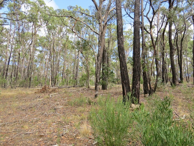 3 Brodie Court, Mount Helen VIC 3350