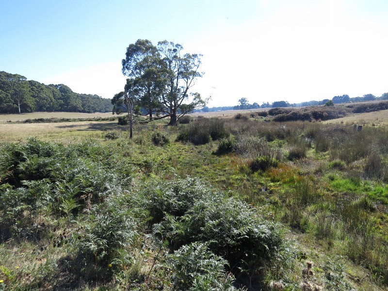 2117 Ballan – Daylesford Road, Leonards Hill VIC 3461