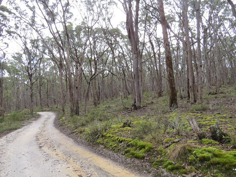 Lot 1,  Nidschelms Lane, Durham Lead VIC 3352