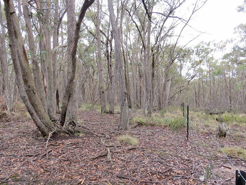 Lot 1,  Nidschelms Lane, Durham Lead VIC 3352