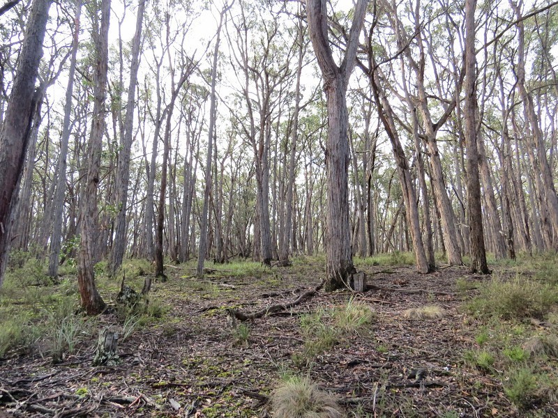 Lot 1,  Nidschelms Lane, Durham Lead VIC 3352